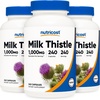 240 Count (Pack of 3)