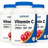 240 Count (Pack of 3)